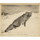 MEYER-EBERHARDT, Kurt: Fuchs im Schnee.Radierung, Bleistiftsignatur, Platte 31,5 x 40,5 cm,