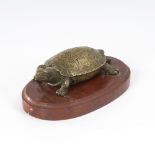 Schildkröte - Messing.Messingfigur auf roter Marmorplatte. Gesamt H 5,5 cm. Naturnahe Darstellung