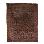 Großer Herati-Teppich, BIDJAR.Westpersien, 1. H. 20. Jh. Wolle, handgeknüpft. Nachtblauer Fond und