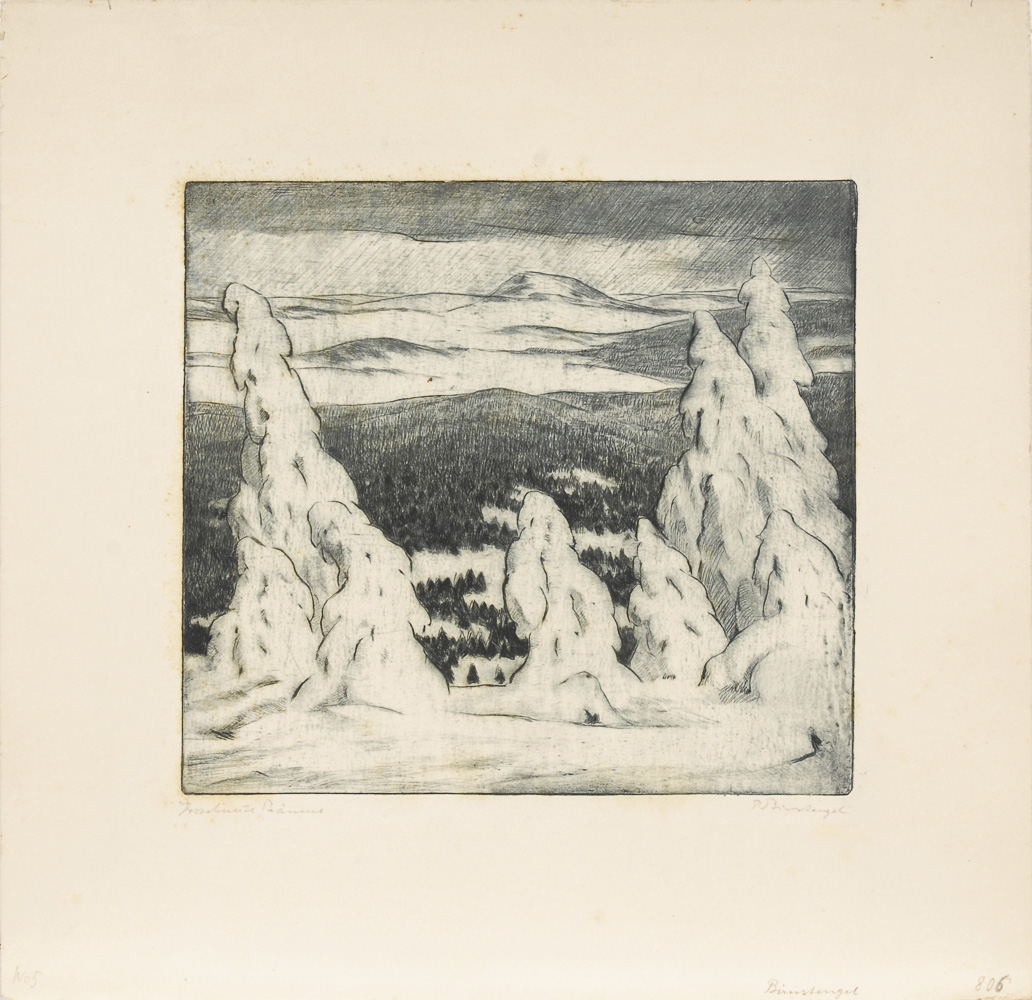 BIRNSTENGEL, Richard: "Verschneite Bäume".Radierung, Bleistiftsignatur, betitelt, Platte 20 x 22 cm,