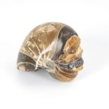 Memento mori aus fossilem Ammonit.Poliert, Steinschnitt. H 5,5 cm. Versteinerter Kopffüßler mit