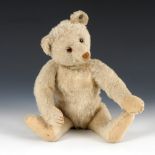 Weißer Teddy, STEIFF.Um 1930. Knopf im Ohr (mit heruntergezogenem 'f'). L 33 cm. Heller Mohairbär