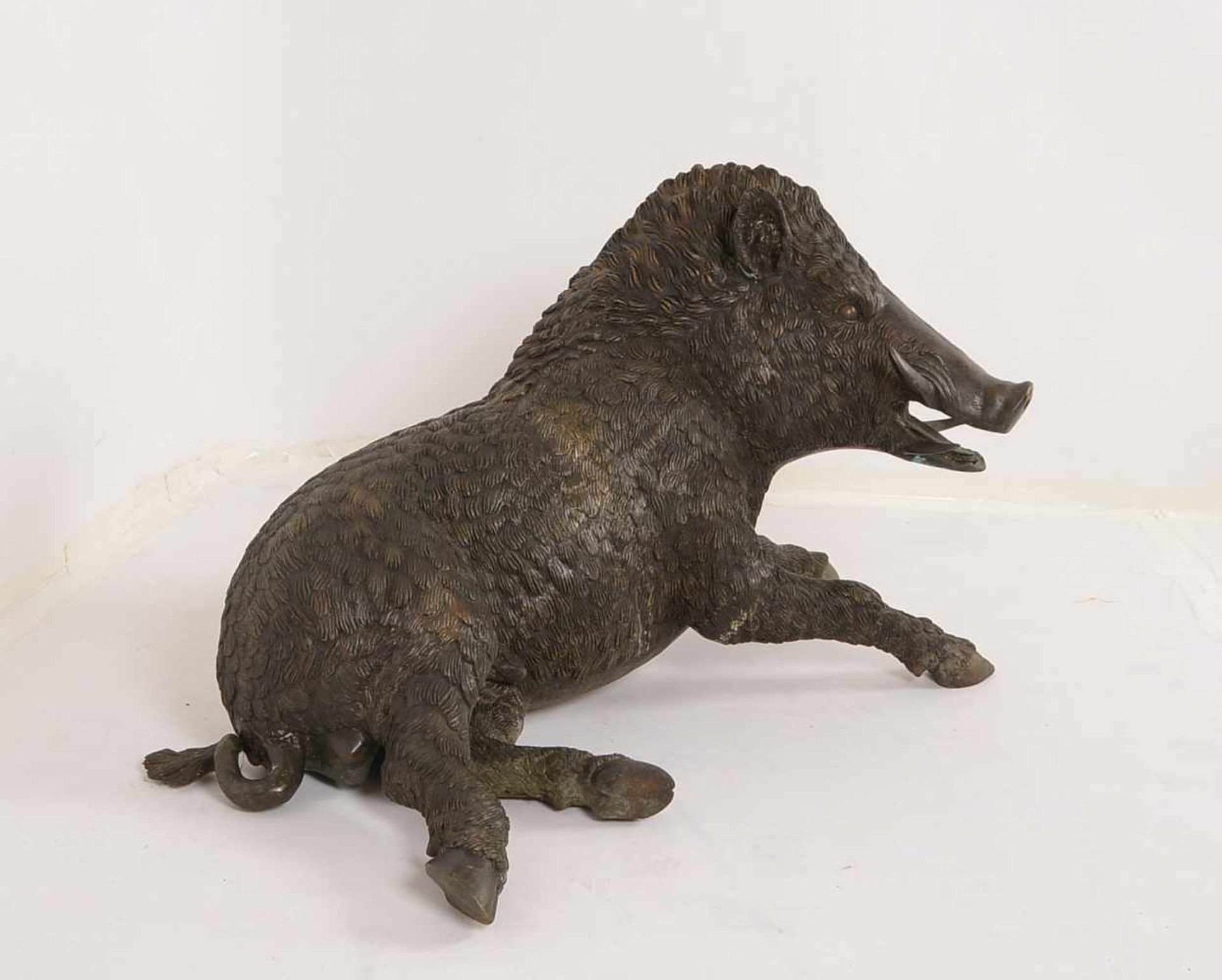 Große Wildschwein-Bronze, lebensgroße/naturalistische Darstellung (in ruhender Haltung), schwere - Bild 3 aus 3