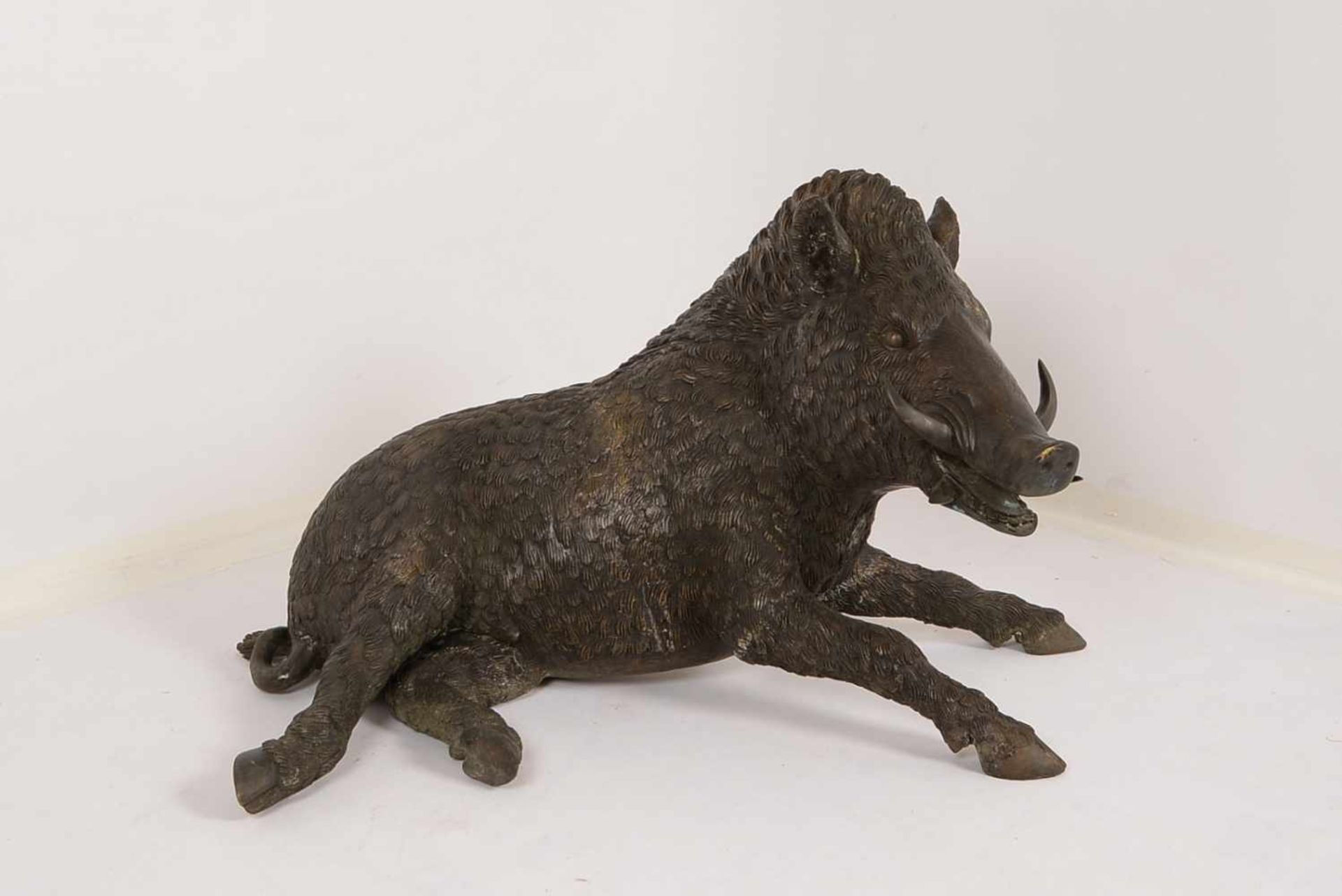 Große Wildschwein-Bronze, lebensgroße/naturalistische Darstellung (in ruhender Haltung), schwere