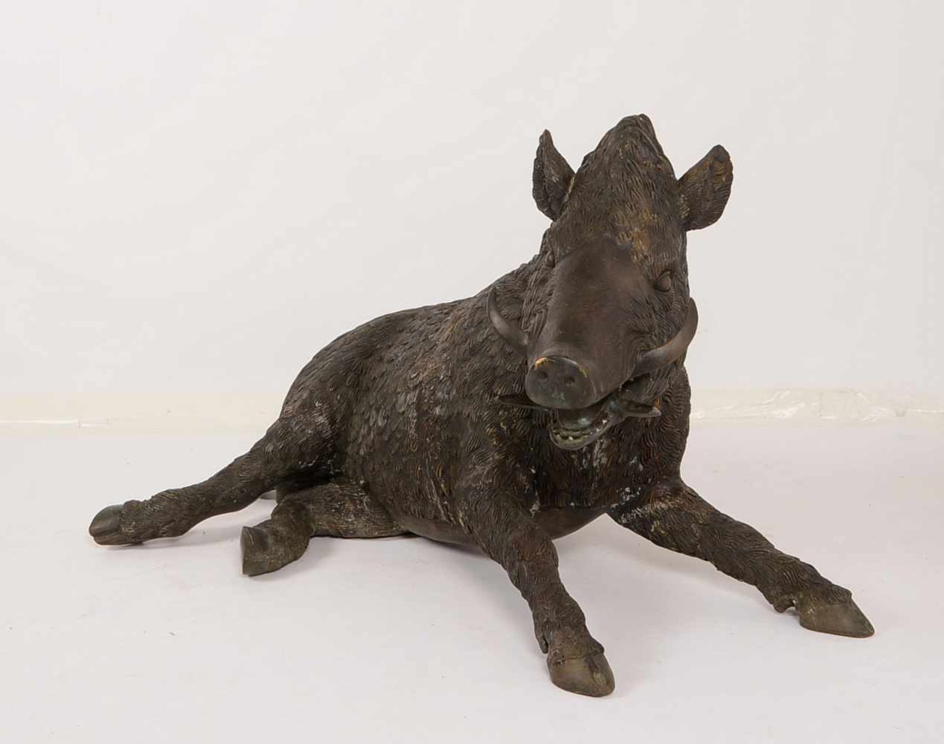 Große Wildschwein-Bronze, lebensgroße/naturalistische Darstellung (in ruhender Haltung), schwere - Bild 2 aus 3