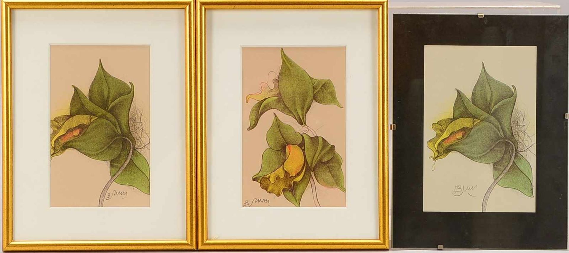Bruni, Bruno (*1935), kleines Konvolut Farblithografien, 'Orchideen', 3 Blätter: jeweils signiert