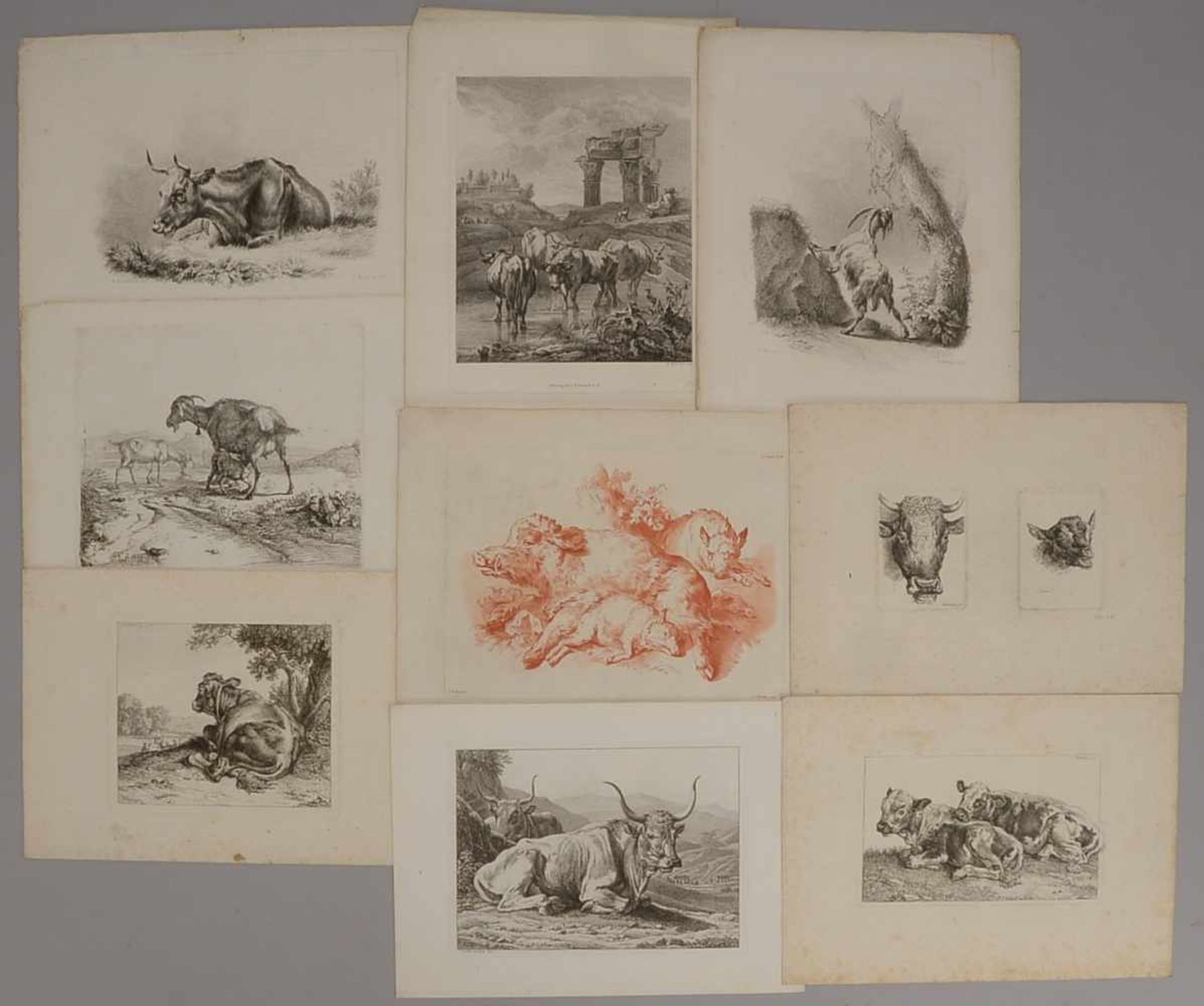 Grafik-Konvolut, Radierungen/Kupferstiche, unterschiedliche Künstler (Friedrich Nerly, 1807 -