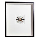 CRUCIFERA PRISM INSECT STUDY, FRAMED SHADOWBOX