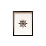 LIMITED EUCHROMA PRISM INSECT STUDY, FRAMED SHADOWBOX