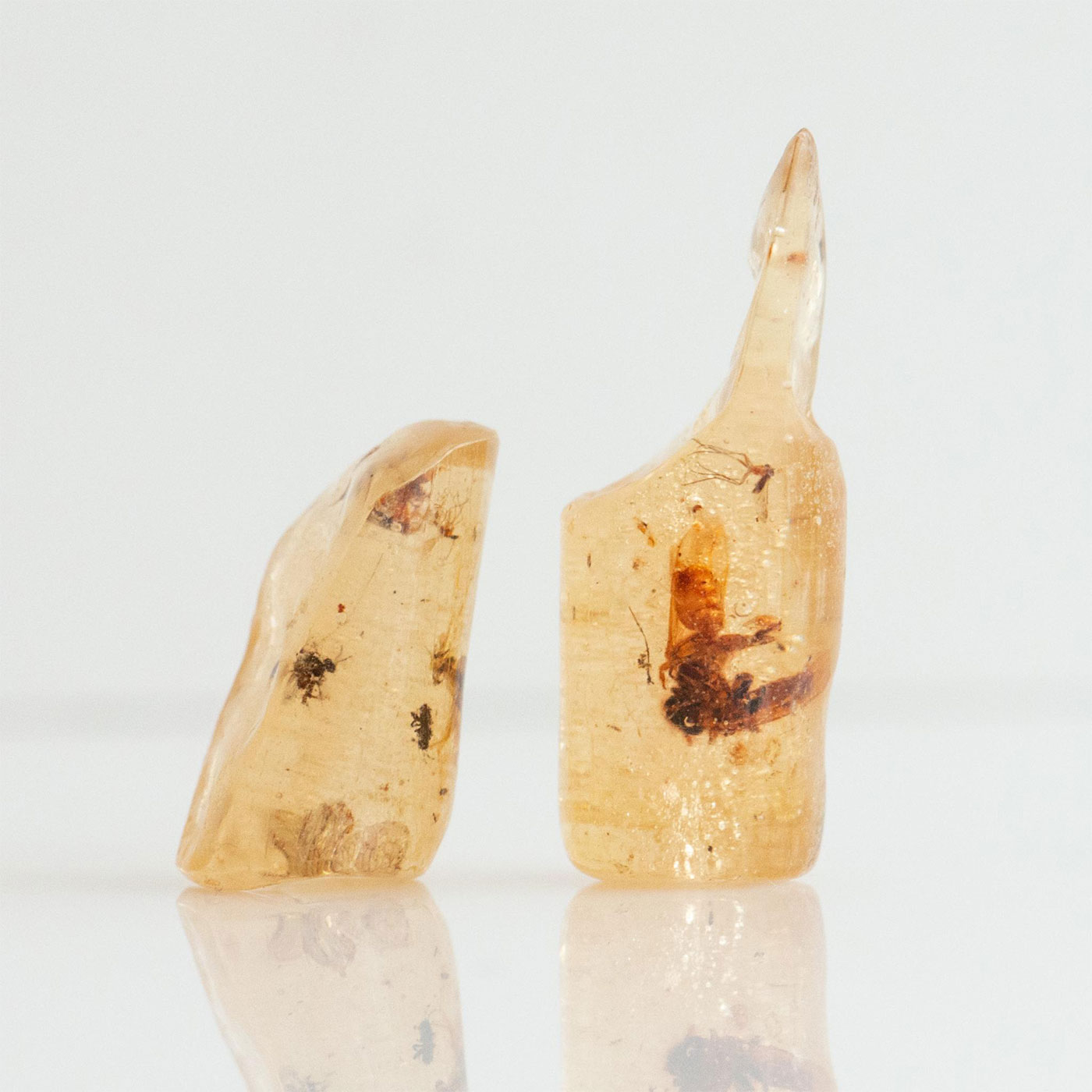 2 POLISHED LIGHT HONEY COPAL AMBER RODS W. MANY INSECTS - Image 8 of 8
