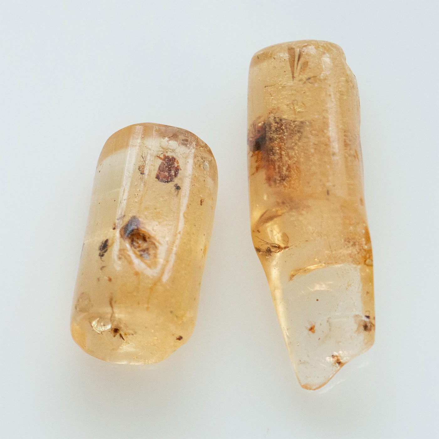 2 POLISHED LIGHT HONEY COPAL AMBER RODS W. MANY INSECTS - Image 2 of 8