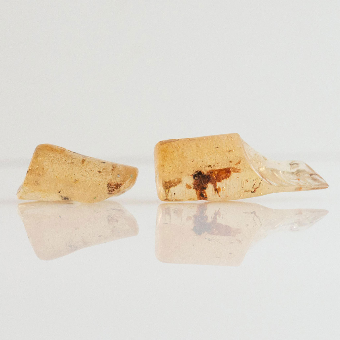 2 POLISHED LIGHT HONEY COPAL AMBER RODS W. MANY INSECTS - Image 5 of 8