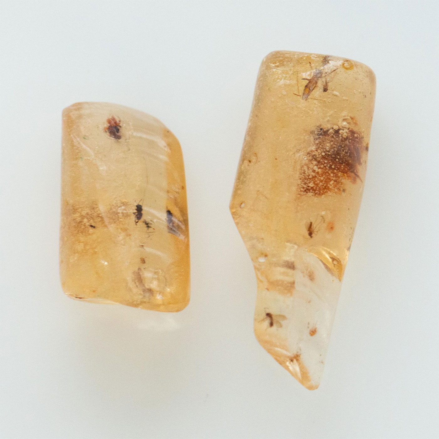 2 POLISHED LIGHT HONEY COPAL AMBER RODS W. MANY INSECTS - Image 3 of 8