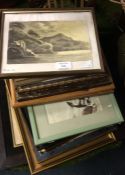 A quantity of framed and glazed drawings.