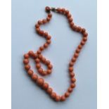 A good Antique graduated string of coral beads wit