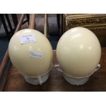 Two large ostrich eggs.