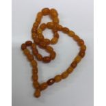 A graduated string of butterscotch amber beads wit
