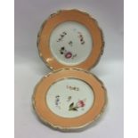 A pair of Spode porcelain plates painted with scat