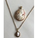 A cameo pendant on chain together with one other.