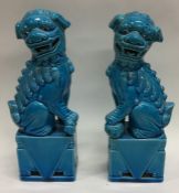 A pair of blue ground Dogs of Foo. Approx. 21 cms