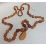 A large graduated string of yellow amber beads wit