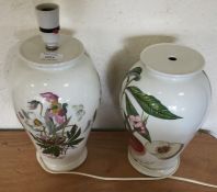 Decorative Portmeirion lamp together with one othe