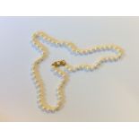 A good string of pearl beads in 18 carat gold clas