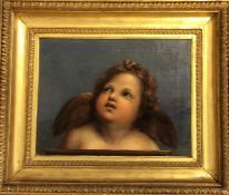 A gilt framed oil on canvas depicting a cherub. Ap