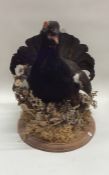 TAXIDERMY: A model of an English Black Partridge s
