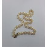 A string of pearl beads with 9 carat barrel clasp.