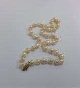 A string of pearl beads with 9 carat barrel clasp.