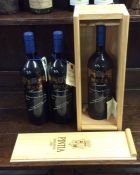 Three x magnums (1.5 litre) bottles of Italian red