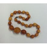 A tapering string of amber beads with barrel clasp