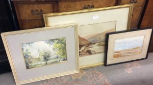 Framed and glazed watercolours.