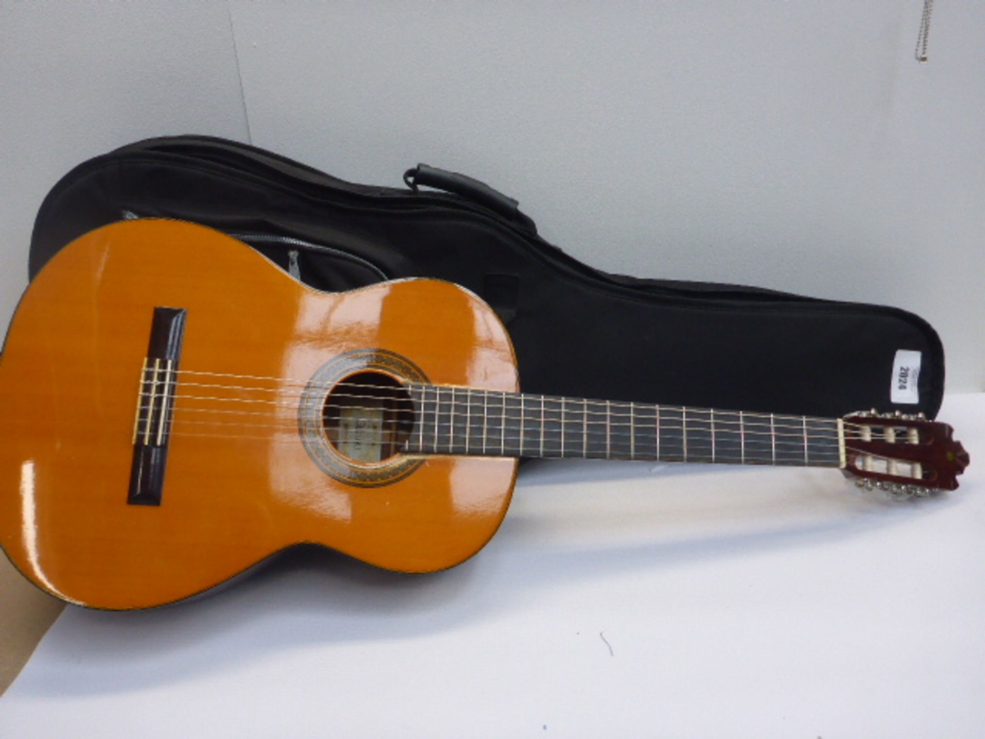 Nagoya Auzuki accoustic guitar in carry case