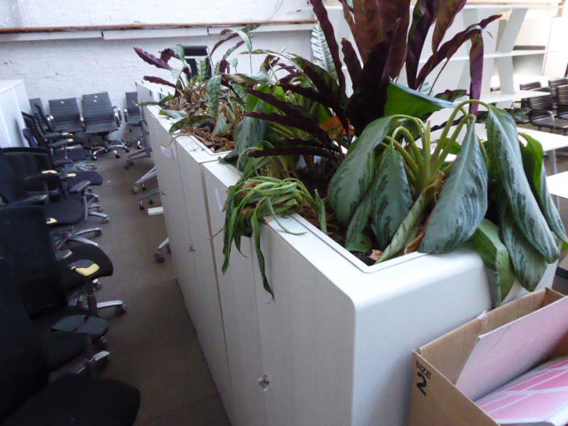 3 80cm metal and ash effect 2 door cabinets with in-built planters - Image 2 of 3