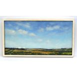 Jayne Tricker (20/21st century), 'Looking Upon Cleeve Hill', inscribed verso, oil on board,