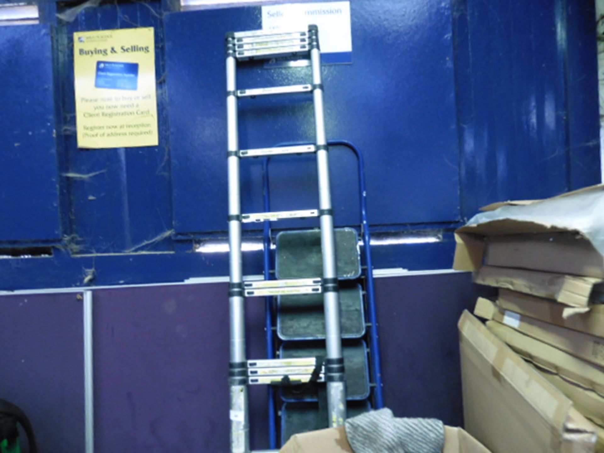 Telescopic ladder and blue stepladder