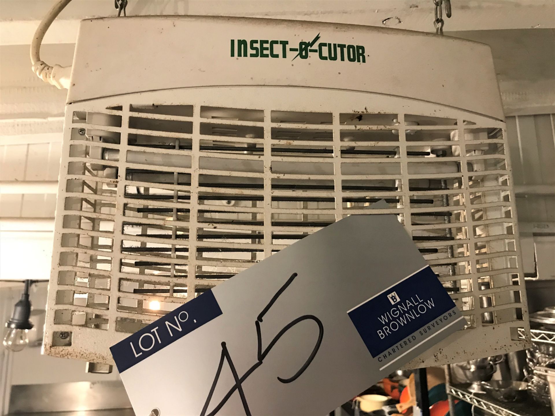 An Insect-O-Cutor Insect Eradicator.