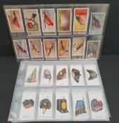 Vintage Parcel of 150 Cigarette Cards Includes Gallaher Zoo Tropical Birds Players Military Head-