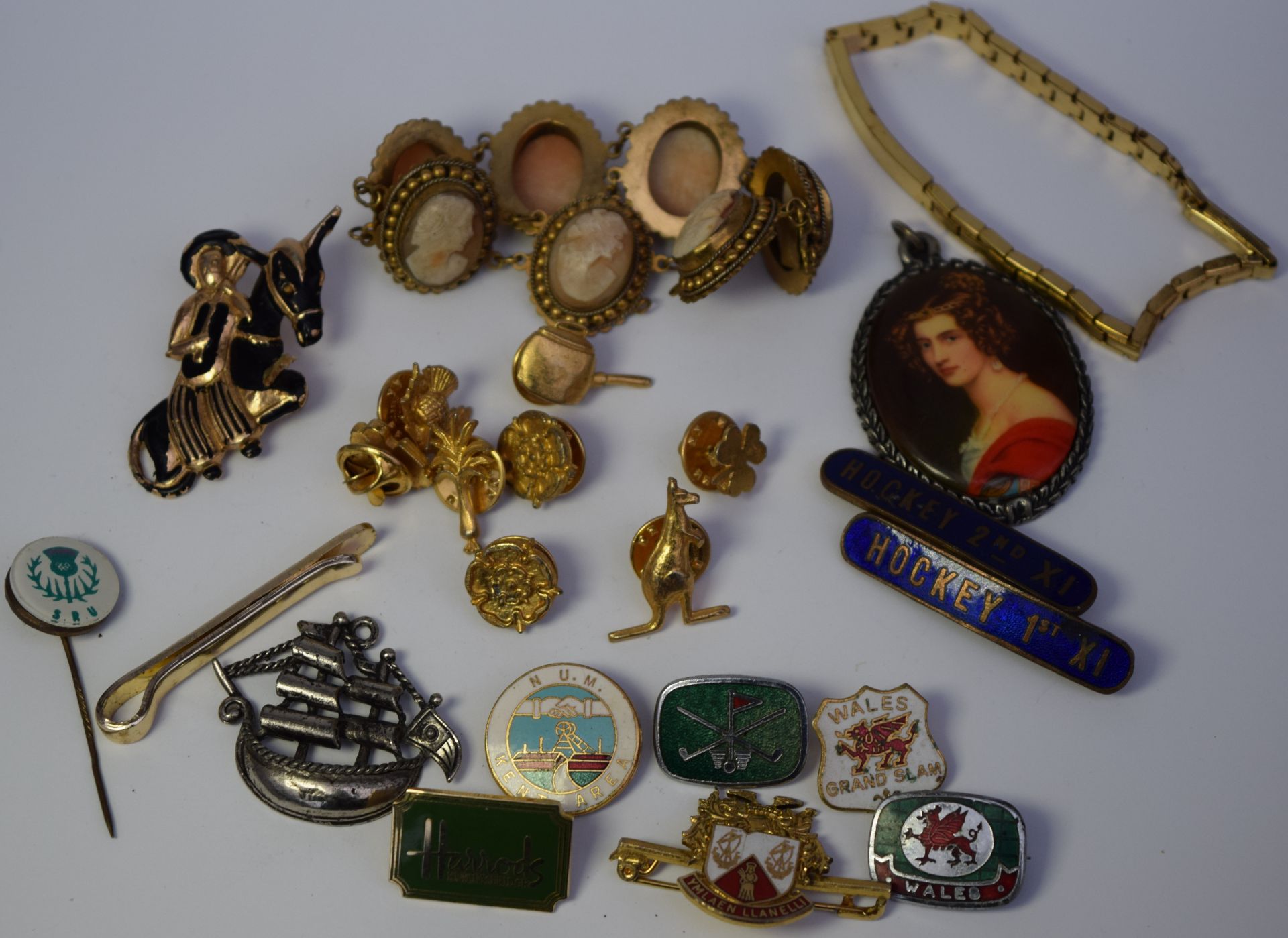 Collection Of Various Badges And Jewellery