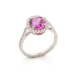 David Morris 18k White Gold Pink Sapphire & Diamond