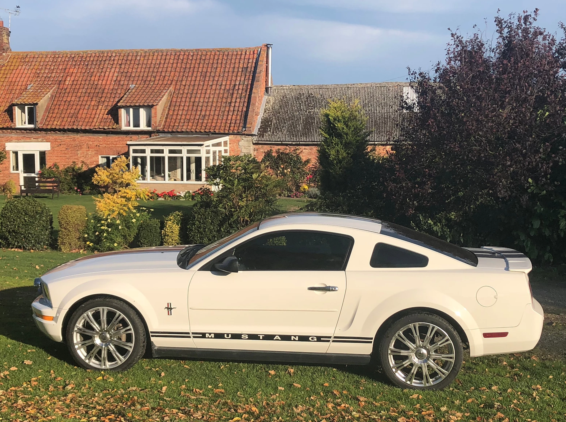 2007 Ford Mustang GT - Image 8 of 9