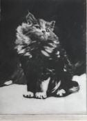 Pencil signed and titled etching by Tom Graham "Persian" cat