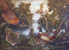 Large unsigned English School 17c oil painting "Pheasants in stately grounds"