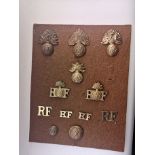 Group Of Military Badges Royal Fusiliers