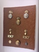 Group Of Military Badges Royal Welsh Fusiliers