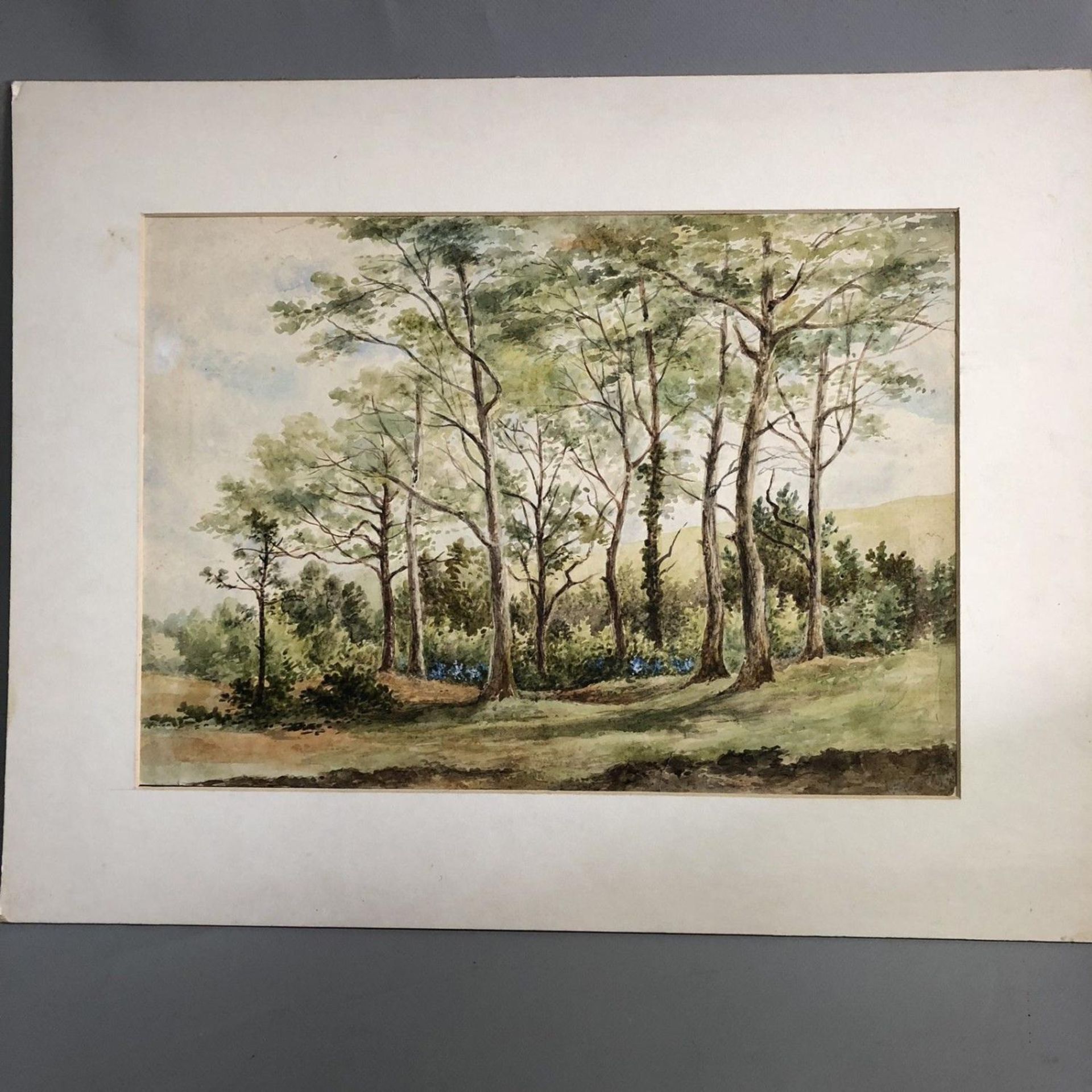 Original Watercolour Landscape Painting "In a Wood at Waterlooville" E Haslehurst