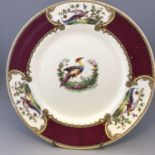 Myotts "Chelsea Bird" Large Dinner Plate - Red Exotic Bird Design