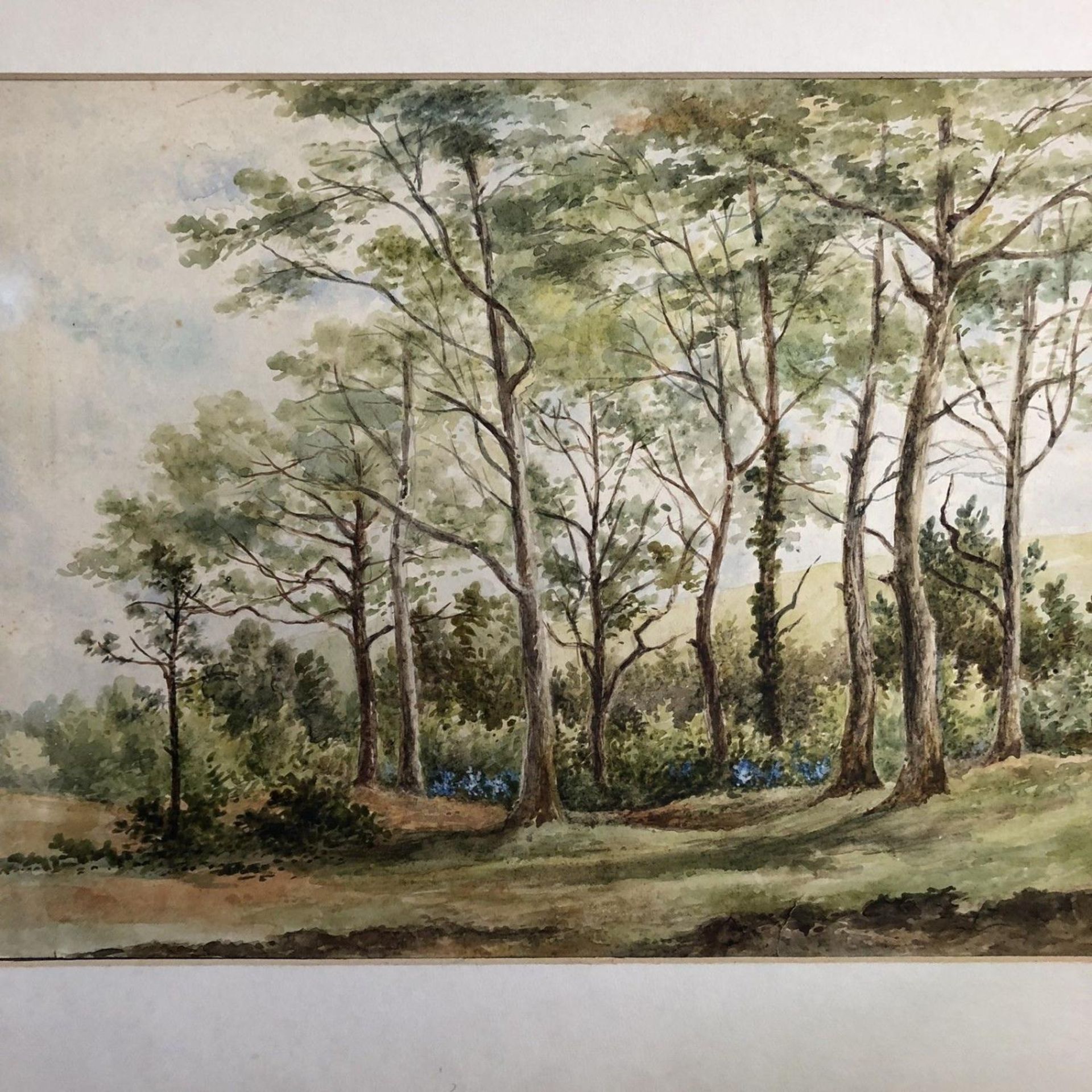 Original Watercolour Landscape Painting "In a Wood at Waterlooville" E Haslehurst - Image 2 of 5